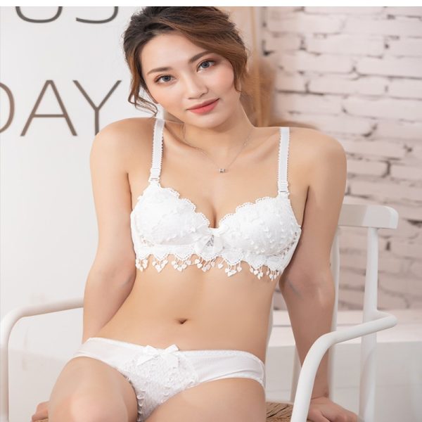 4-1.jpg Women Push Up Bra Set Girl Floral Lace Underwear Set Underwire Brassiere