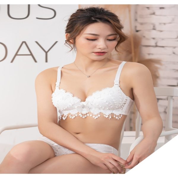 6-1.jpg Women Push Up Bra Set Girl Floral Lace Underwear Set Underwire Brassiere
