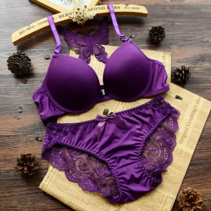 Women styles Push up Bra panty set /Lingerie set / Lace Bra Panties