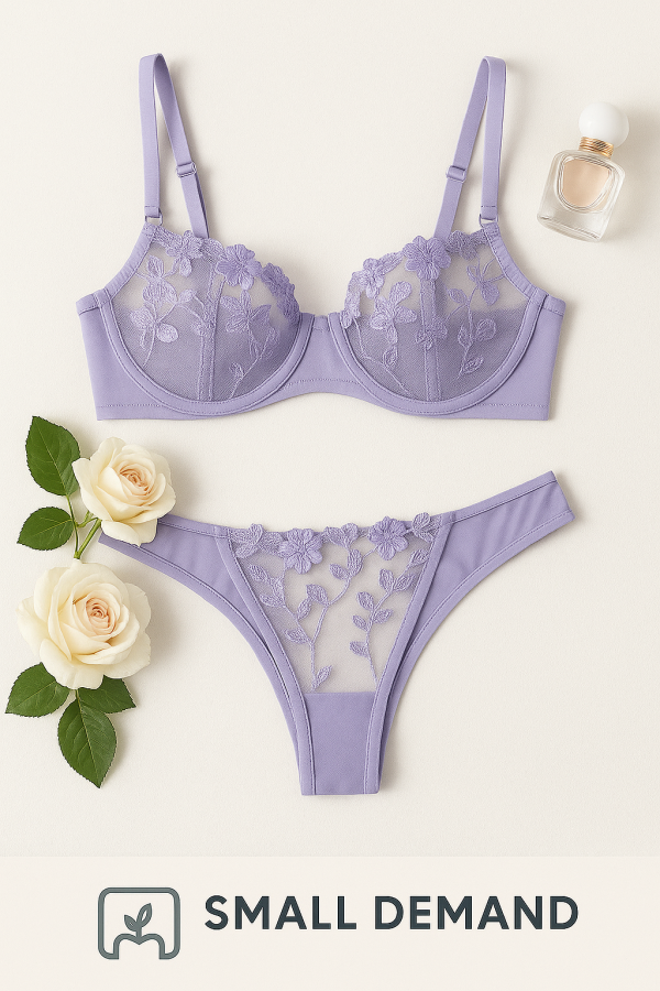 Premium Quality made in China Transparent Bra Panty Set