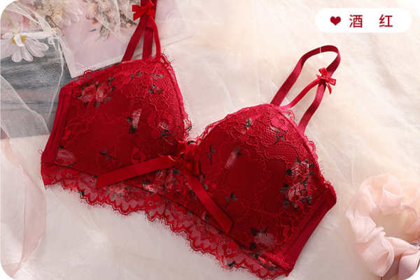 Premium Quality Romantic Daku Lace Bra & Panty Set Red
